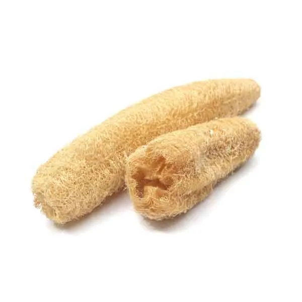 natural-loofa1.webp