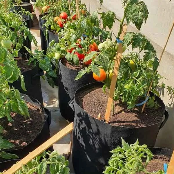 grow-bag-2.webp